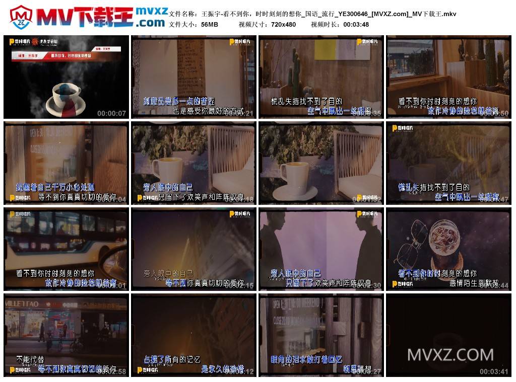 王振宇-看不到你，时时刻刻的想你_国语_流行_YE300646